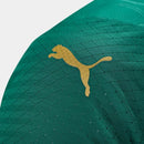 Camisa Palmeiras Titular 24/25 - Versão torcedor